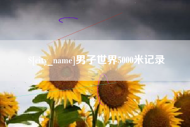 大连男子世界5000米记录