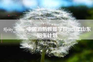 大连中国消防救援学院2021年山东招生计划