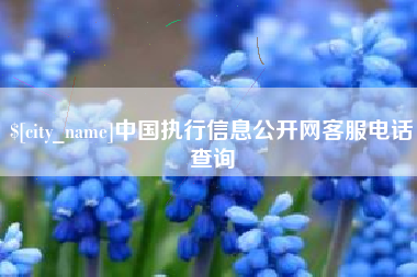 大连中国执行信息公开网客服电话查询