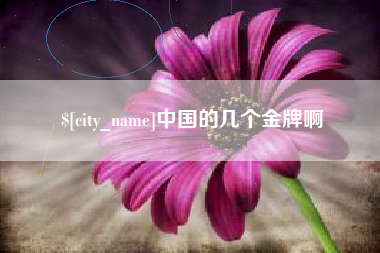 大连中国的几个金牌啊
