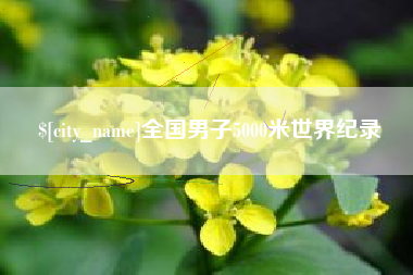 大连全国男子5000米世界纪录