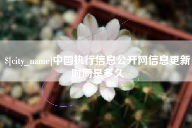 大连中国执行信息公开网信息更新时间是多久