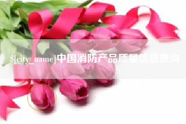 大连中国消防产品质量信息查询