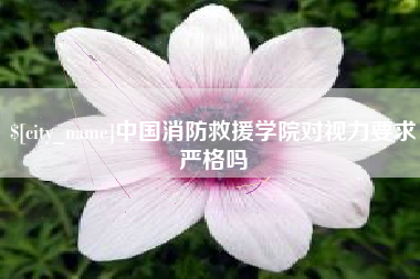 大连中国消防救援学院对视力要求严格吗