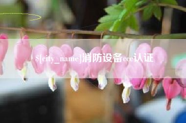 大连消防设备ccc认证