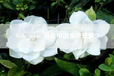 大连现在中国金牌是多少