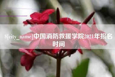 大连中国消防救援学院2021年报名时间