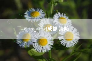 大连成都 消防
