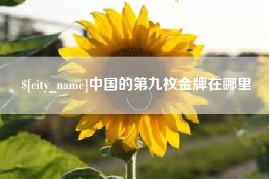 大连中国的第九枚金牌在哪里