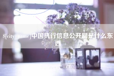 大连中国执行信息公开网是什么东西