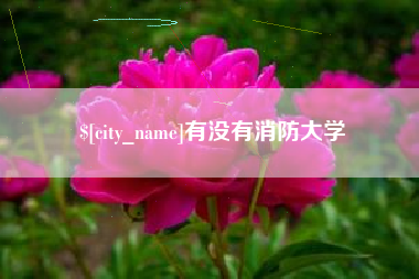 大连有没有消防大学