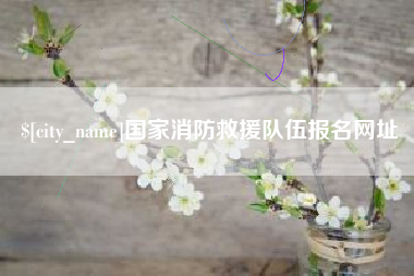 大连国家消防救援队伍报名网址