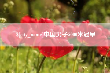 大连中国男子5000米冠军