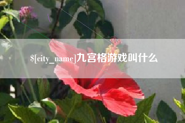 大连九宫格游戏叫什么