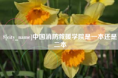 大连中国消防救援学院是一本还是二本
