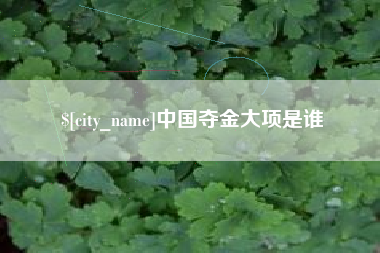 大连中国夺金大项是谁