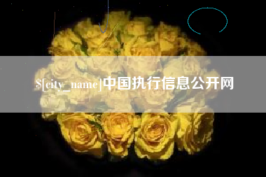 大连中国执行信息公开网