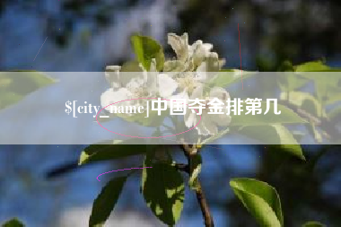 大连中国夺金排第几