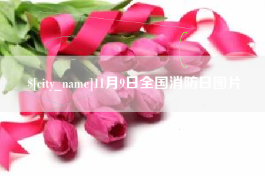 大连11月9日全国消防日图片