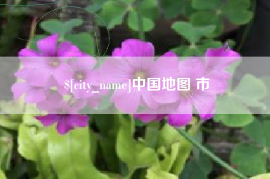 大连中国地图 市