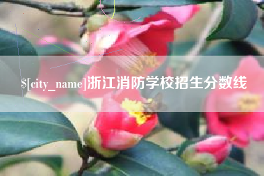 大连浙江消防学校招生分数线