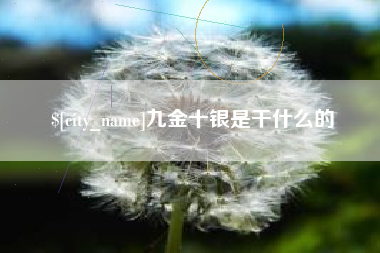 大连九金十银是干什么的