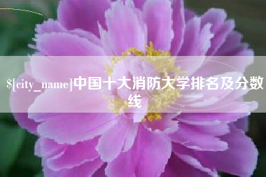 大连中国十大消防大学排名及分数线
