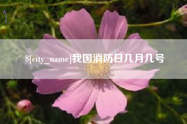 大连我国消防日几月几号