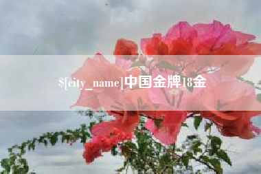 大连中国金牌18金