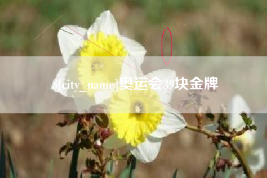 大连奥运会39块金牌