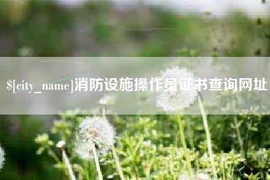 大连消防设施操作员证书查询网址