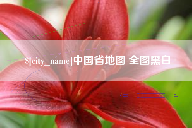 大连中国省地图 全图黑白