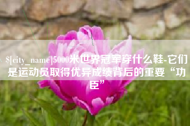 大连5000米世界冠军穿什么鞋-它们是运动员取得优异成绩背后的重要“功臣”