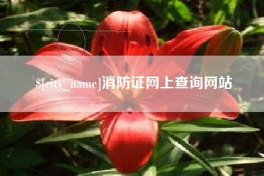 大连消防证网上查询网站
