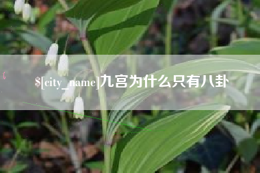 大连九宫为什么只有八卦