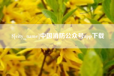 大连中国消防公众号app下载