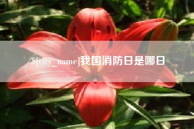 大连我国消防日是哪日