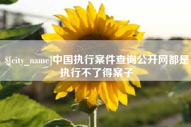 大连中国执行案件查询公开网都是执行不了得案子