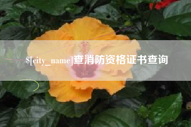 大连查消防资格证书查询