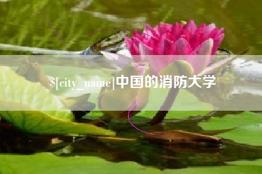 大连中国的消防大学