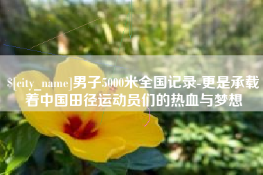 大连男子5000米全国记录-更是承载着中国田径运动员们的热血与梦想