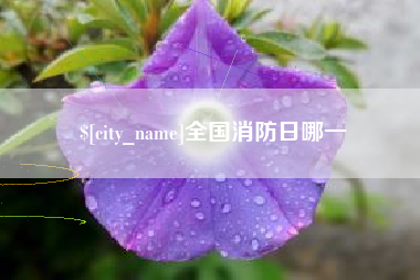大连全国消防日哪一