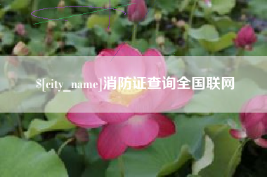 大连消防证查询全国联网