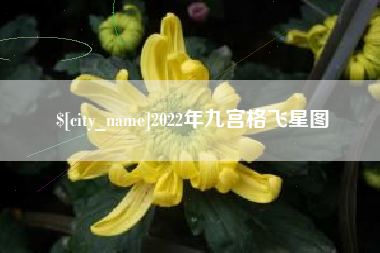 大连2022年九宫格飞星图