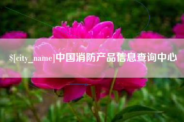 大连中国消防产品信息查询中心