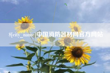 大连中国消防器材网官方网站