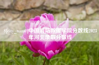 大连中国消防救援学院分数线2023年河北录取分数线