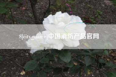 大连中国消防产品官网
