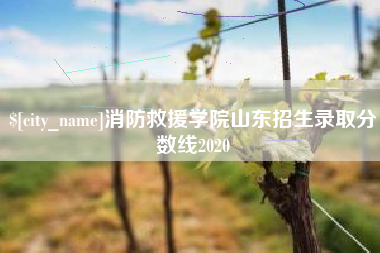 大连消防救援学院山东招生录取分数线2020
