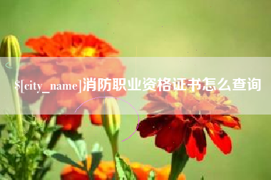 大连消防职业资格证书怎么查询